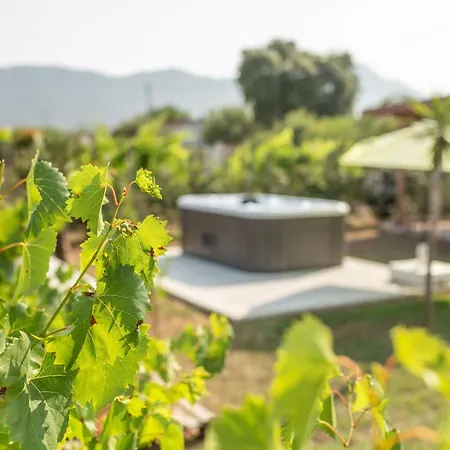 La Cesa House Feriehus San Felice Circeo